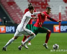 布冯-捷克队公布欧洲杯名单