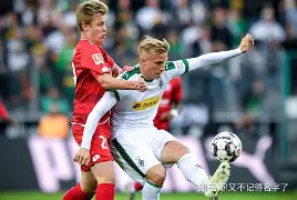 进球-美因茨主场